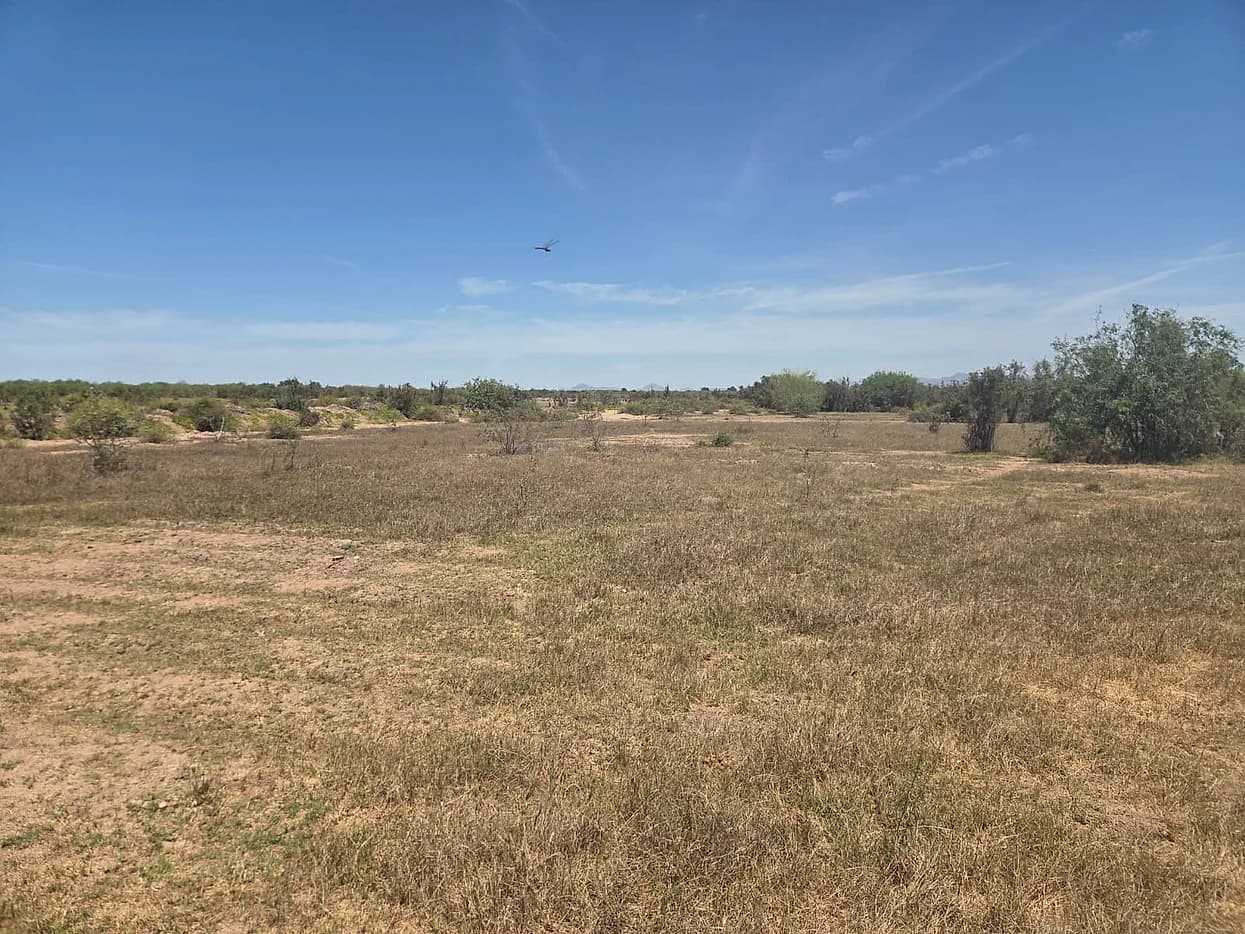 Terreno Agricola en Venta