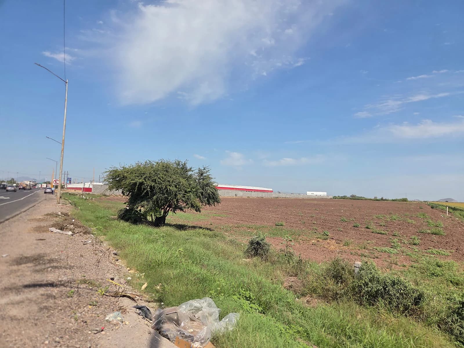 Terreno Agricola en renta