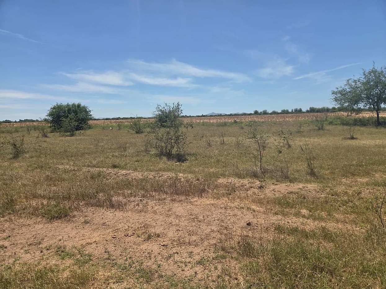 Terreno Agricola en Venta