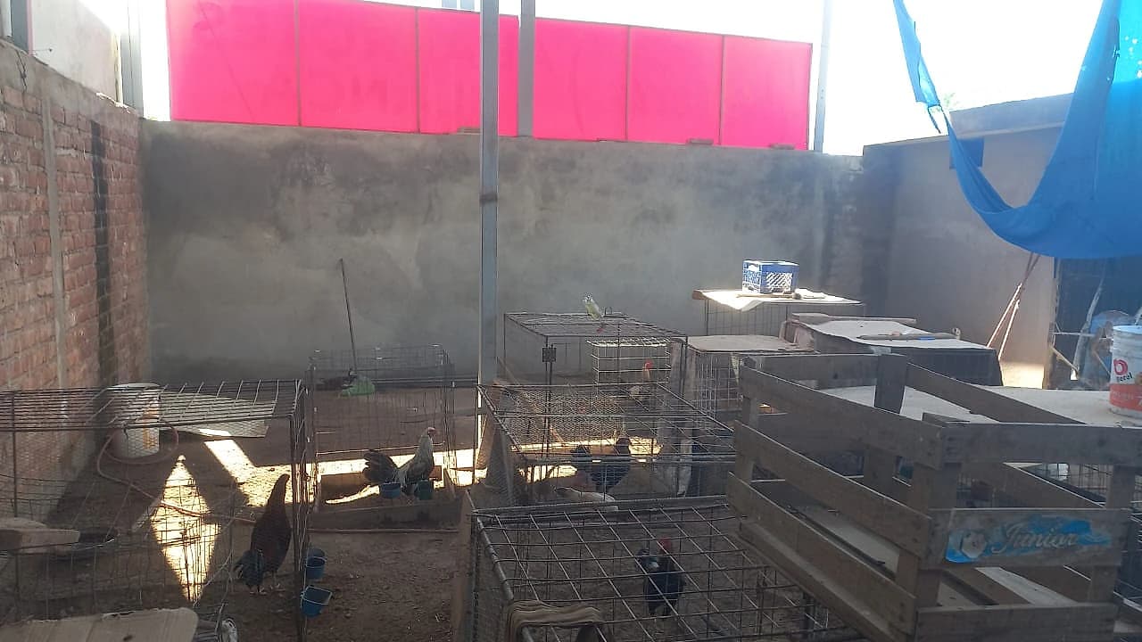 Terreno en Venta con Construccion