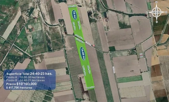 9_2931 | 24.40 HECTAREAS AGRÍCOLAS EN VENTA Ejido Suarez (Campo Gastélum o Cohuibampo), Ahome Sinaloa | Realhaus