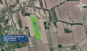 9_2932 | 10 HECTAREAS AGRÍCOLAS Ejido Suarez (Campo Gastelum y Cohuibampo), Ahome Sinaloa | Realhaus