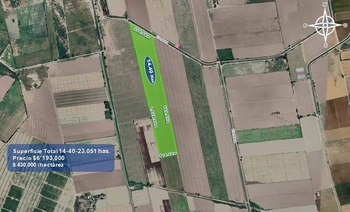9_2933 | 14.40 HECTAREAS AGRÍCOLAS Ejido Suarez (Campo Gastelum y Cohuibampo), Ahome Sinaloa | Realhaus