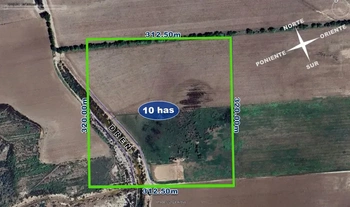 9_2455 | 10 hectareas uso agricola  Zaratajoa Bacahui, Guasave, Sinaloa | Realhaus