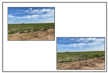 14_2270 | TERRENO RUSTICO PREDIO SANTA ROSA | Realhaus