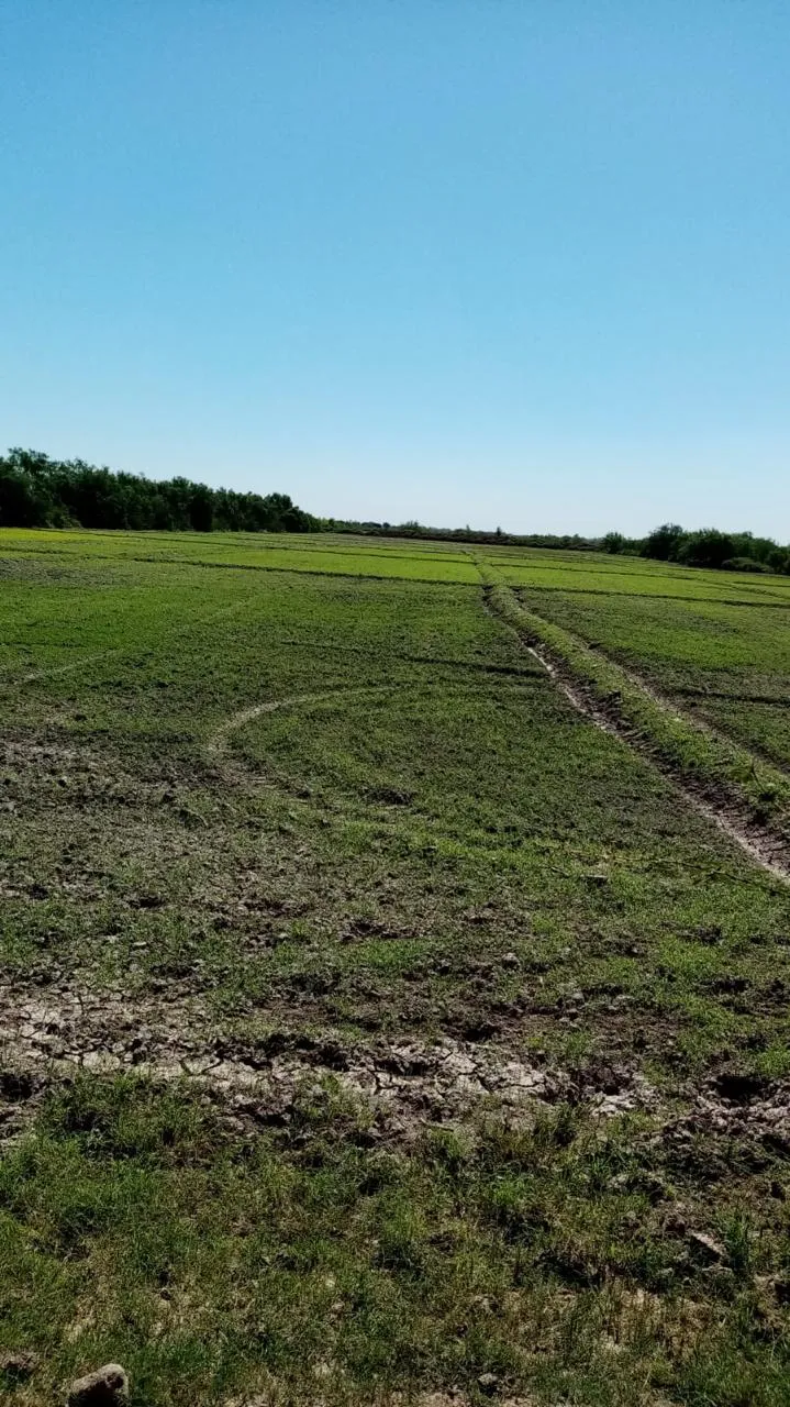 Terreno Agrícola en Venta