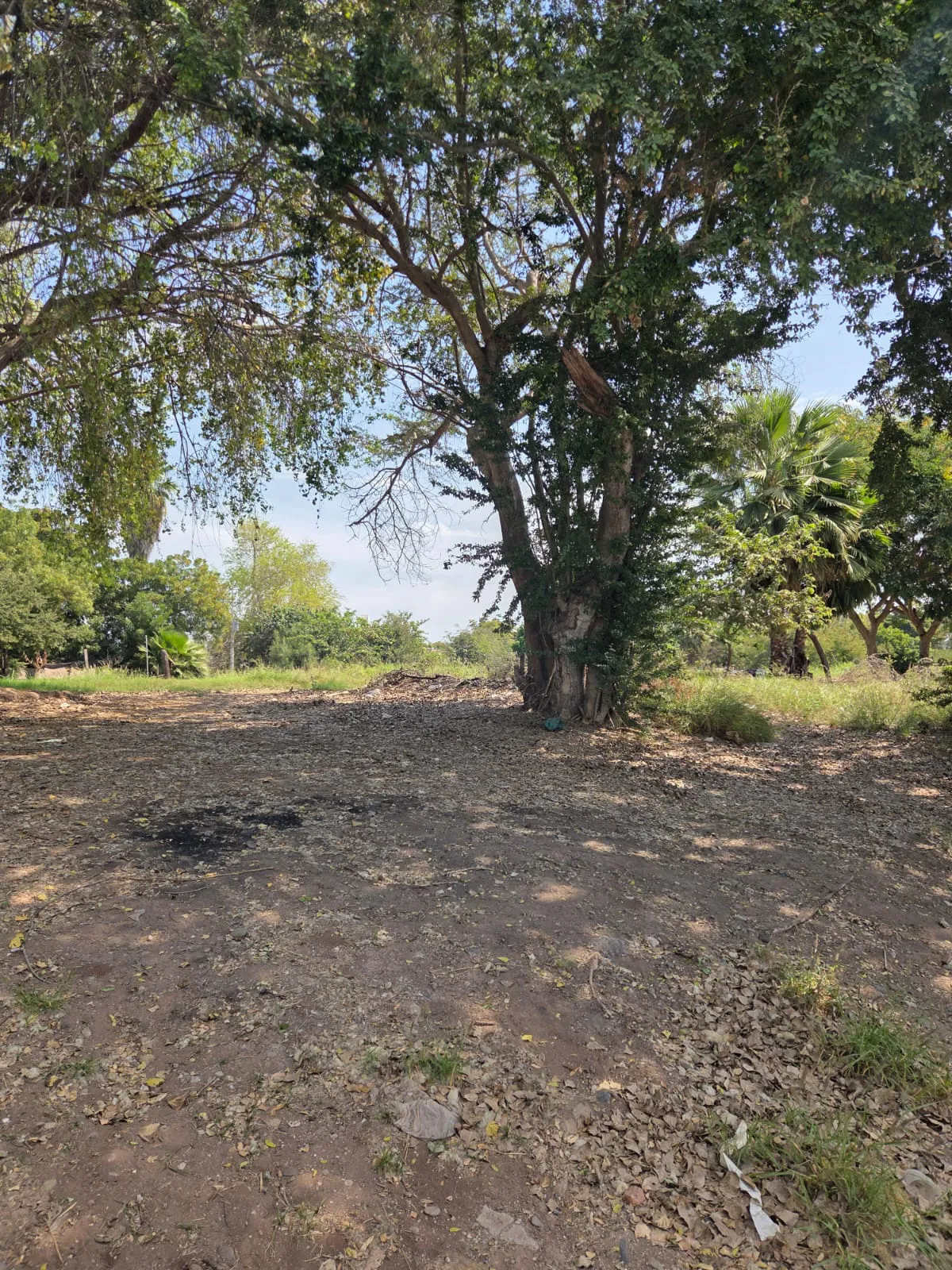 Terreno Comercial en Venta