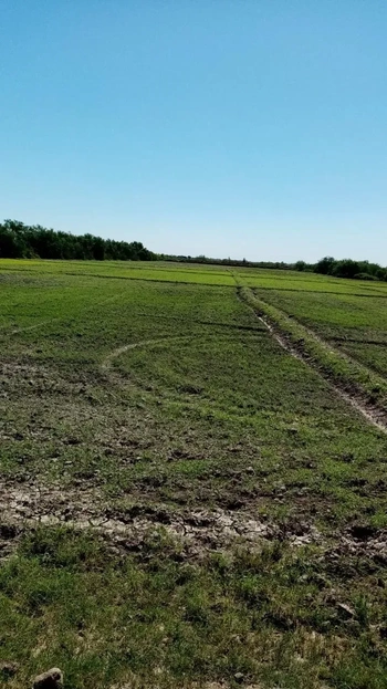 RHA_2965 | Terreno Agrícola en Venta | Realhaus